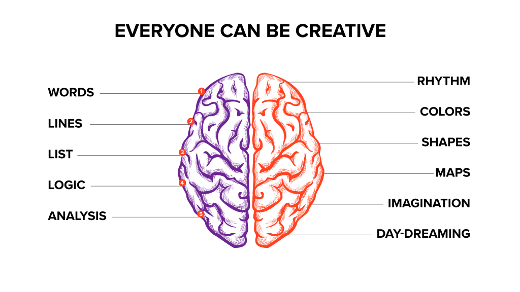 image of whole brain creativity